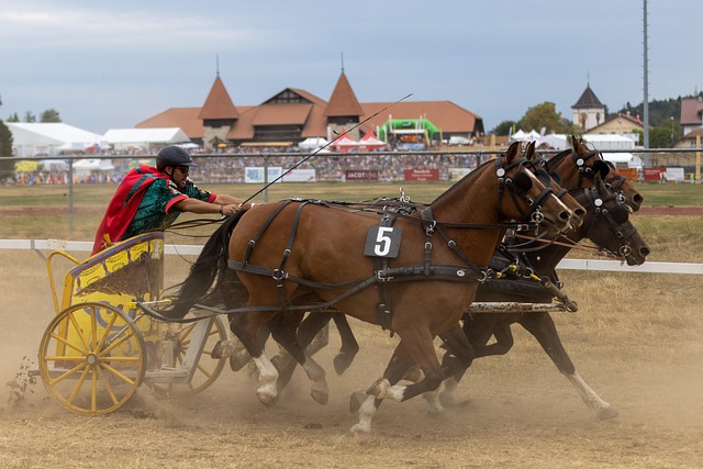 气和积极性 气和积极性