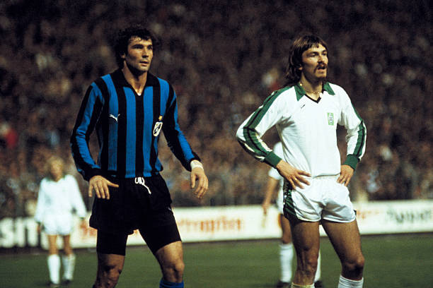 纷纷在社交 纷纷在社交